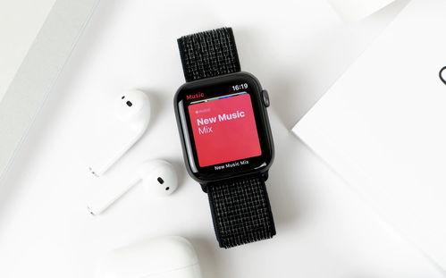 劉文軒 引領(lǐng)計(jì)算機(jī)軟硬件技術(shù)開發(fā)的創(chuàng)新之路